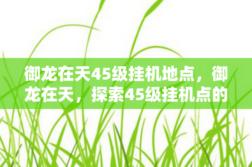 御龙在天45级挂机地点，御龙在天，探索45级挂机点的秘密