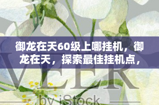 御龙在天60级上哪挂机，御龙在天，探索最佳挂机点，助力角色飞升至60级