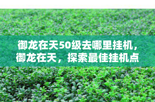 御龙在天50级去哪里挂机,御龙在天,探索最佳挂机点,轻松升级至50级 御龙在天50级去哪里挂机,御龙在天,探索最佳挂机点,轻松升级至50级