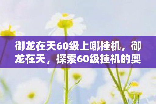 御龙在天60级上哪挂机,御龙在天,探索60级挂机的奥秘 御龙在天60级上哪挂机,御龙在天,探索60级挂机的奥秘