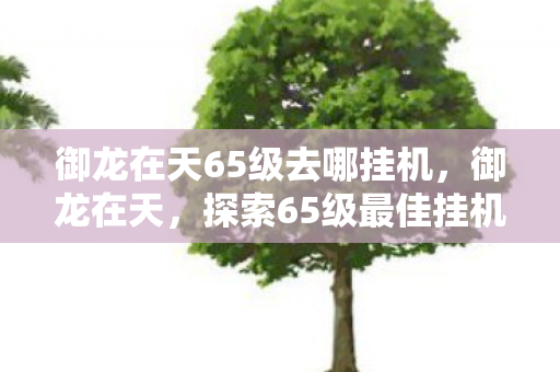 御龙在天65级去哪挂机,御龙在天,探索65级最佳挂机点 御龙在天65级去哪挂机,御龙在天,探索65级最佳挂机点