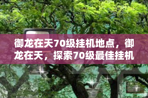 御龙在天70级挂机地点,御龙在天,探索70级最佳挂机点 御龙在天70级挂机地点,御龙在天,探索70级最佳挂机点