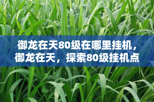 御龙在天80级在哪里挂机,御龙在天,探索80级挂机点的奥秘 御龙在天80级在哪里挂机,御龙在天,探索80级挂机点的奥秘