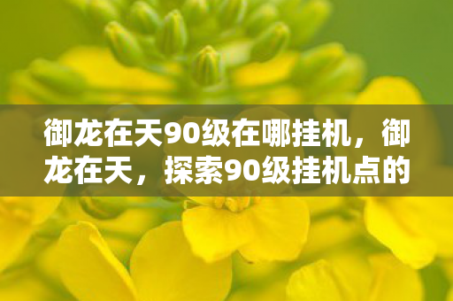 御龙在天90级在哪挂机,御龙在天,探索90级挂机点的秘密 御龙在天90级在哪挂机,御龙在天,探索90级挂机点的秘密