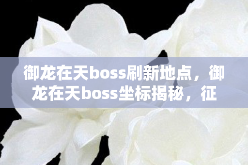 御龙在天boss刷新地点,御龙在天boss坐标揭秘,征服游戏世界的终极挑战 御龙在天boss刷新地点,御龙在天boss坐标揭秘,征服游戏世界的终极挑战