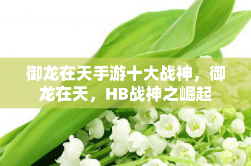 御龙在天手游十大战神,御龙在天,HB战神之崛起 御龙在天手游十大战神,御龙在天,HB战神之崛起