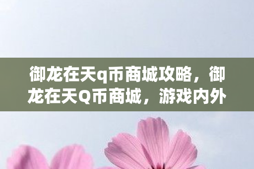 御龙在天q币商城攻略,御龙在天Q币商城,游戏内外的货币桥梁 御龙在天q币商城攻略,御龙在天Q币商城,游戏内外的货币桥梁