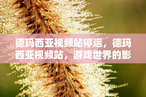德玛西亚视频站停运,德玛西亚视频站,游戏世界的影像盛宴 德玛西亚视频站停运,德玛西亚视频站,游戏世界的影像盛宴