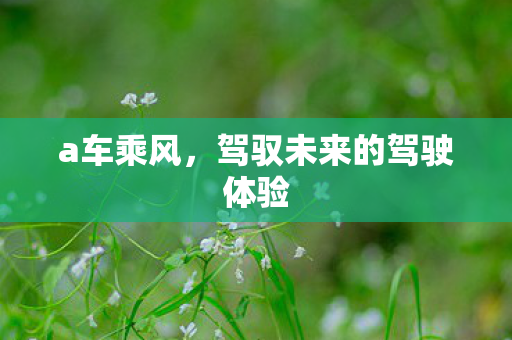 a车乘风,驾驭未来的驾驶体验 a车乘风,驾驭未来的驾驶体验