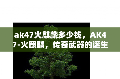 ak47火麒麟多少钱，AK47-火麒麟，传奇武器的诞生与影响