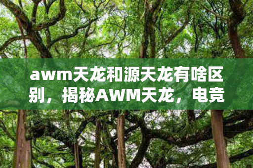 awm天龙和源天龙有啥区别,揭秘AWM天龙,电竞世界中的神秘武器 awm天龙和源天龙有啥区别,揭秘AWM天龙,电竞世界中的神秘武器