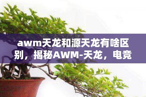 awm天龙和源天龙有啥区别,揭秘AWM-天龙,电竞神器背后的故事 awm天龙和源天龙有啥区别,揭秘AWM-天龙,电竞神器背后的故事