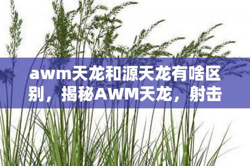 awm天龙和源天龙有啥区别，揭秘AWM天龙，射击游戏界的传奇之作
