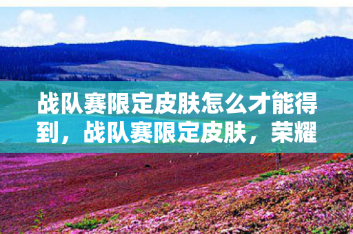 战队赛限定皮肤怎么才能得到,战队赛限定皮肤,荣耀的象征与玩家的追求 战队赛限定皮肤怎么才能得到,战队赛限定皮肤,荣耀的象征与玩家的追求