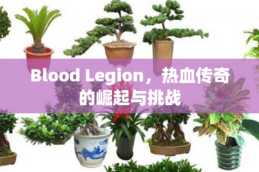 Blood Legion，热血传奇的崛起与挑战