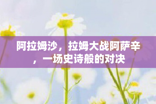 阿拉姆沙,拉姆大战阿萨辛,一场史诗般的对决 阿拉姆沙,拉姆大战阿萨辛,一场史诗般的对决