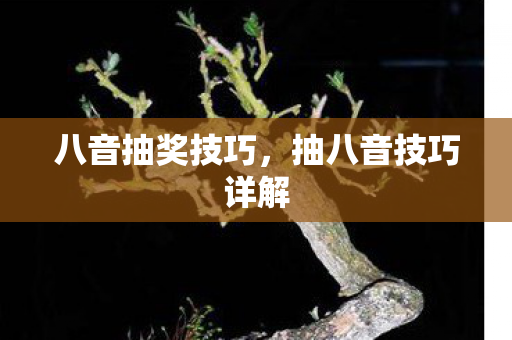 八音抽奖技巧,抽八音技巧详解 八音抽奖技巧,抽八音技巧详解