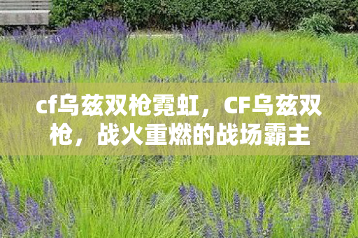 cf乌兹双枪霓虹,CF乌兹双枪,战火重燃的战场霸主 cf乌兹双枪霓虹,CF乌兹双枪,战火重燃的战场霸主