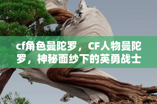 cf角色曼陀罗,CF人物曼陀罗,神秘面纱下的英勇战士 cf角色曼陀罗,CF人物曼陀罗,神秘面纱下的英勇战士
