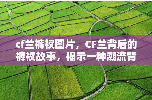 cf兰裤衩图片,CF兰背后的裤衩故事,揭示一种潮流背后的秘密 cf兰裤衩图片,CF兰背后的裤衩故事,揭示一种潮流背后的秘密