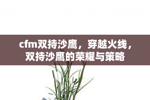 cfm双持沙鹰,穿越火线,双持沙鹰的荣耀与策略 cfm双持沙鹰,穿越火线,双持沙鹰的荣耀与策略