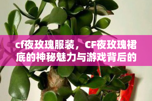cf夜玫瑰服装,CF夜玫瑰裙底的神秘魅力与游戏背后的故事 cf夜玫瑰服装,CF夜玫瑰裙底的神秘魅力与游戏背后的故事