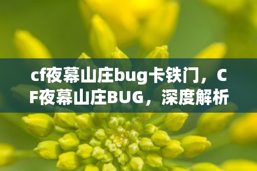 cf夜幕山庄bug卡铁门,CF夜幕山庄BUG,深度解析游戏中的意外现象 cf夜幕山庄bug卡铁门,CF夜幕山庄BUG,深度解析游戏中的意外现象