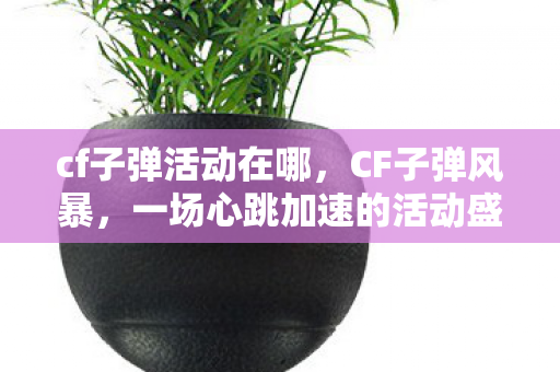 cf子弹活动在哪,CF子弹风暴,一场心跳加速的活动盛宴 cf子弹活动在哪,CF子弹风暴,一场心跳加速的活动盛宴