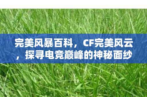 完美风暴百科,CF完美风云,探寻电竞巅峰的神秘面纱 完美风暴百科,CF完美风云,探寻电竞巅峰的神秘面纱