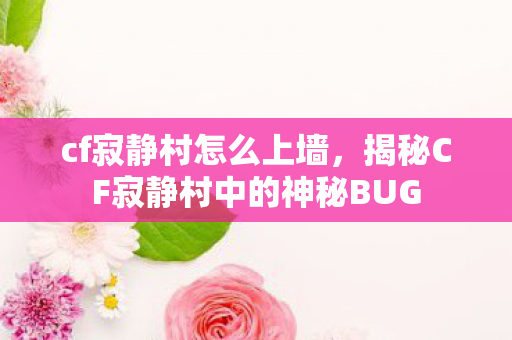 cf寂静村怎么上墙,揭秘CF寂静村中的神秘BUG cf寂静村怎么上墙,揭秘CF寂静村中的神秘BUG