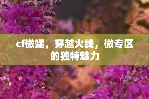 cf微端，穿越火线，微专区的独特魅力