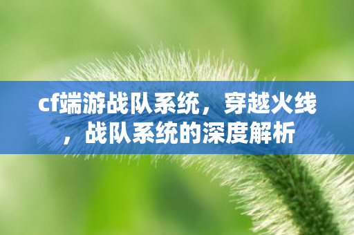 cf端游战队系统,穿越火线,战队系统的深度解析 cf端游战队系统,穿越火线,战队系统的深度解析
