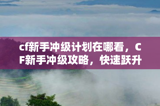 cf新手冲级计划在哪看，CF新手冲级攻略，快速跃升等级之巅