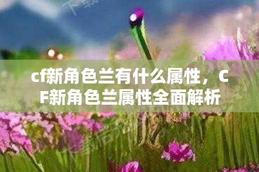 cf新角色兰有什么属性,CF新角色兰属性全面解析 cf新角色兰有什么属性,CF新角色兰属性全面解析