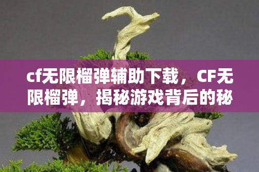 cf无限榴弹辅助下载，CF无限榴弹，揭秘游戏背后的秘密与挑战