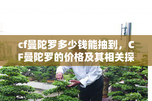 cf曼陀罗多少钱能抽到,CF曼陀罗的价格及其相关探讨 cf曼陀罗多少钱能抽到,CF曼陀罗的价格及其相关探讨