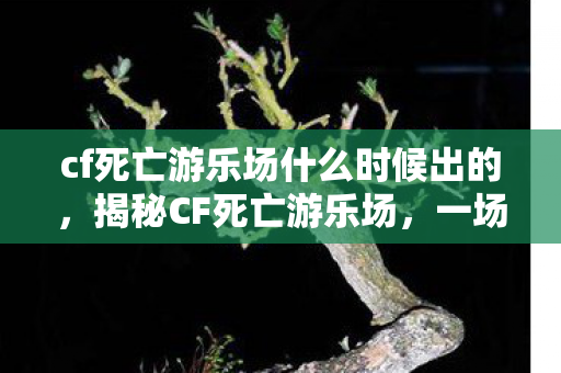 cf死亡游乐场什么时候出的，揭秘CF死亡游乐场，一场刺激与恐怖的交织之旅