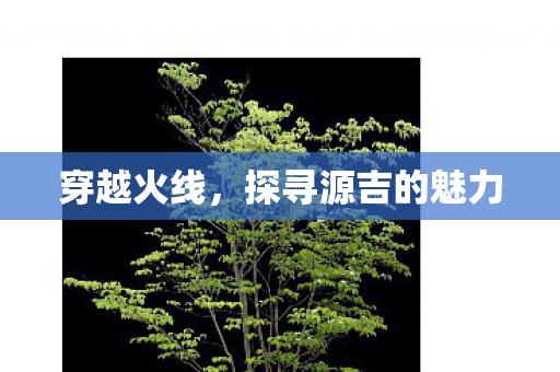 穿越火线,探寻源吉的魅力 穿越火线,探寻源吉的魅力