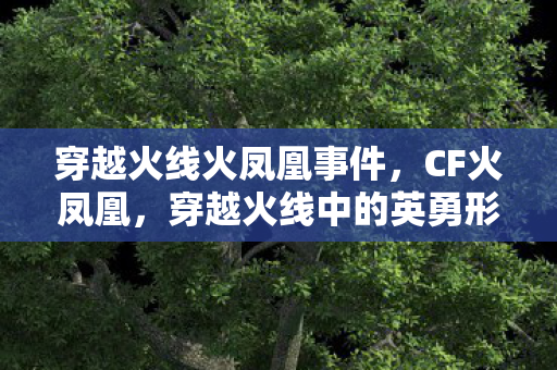 穿越火线火凤凰事件，CF火凤凰，穿越火线中的英勇形象与独特魅力