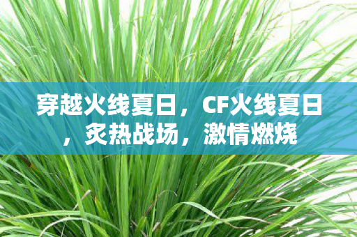 穿越火线夏日，CF火线夏日，炙热战场，激情燃烧