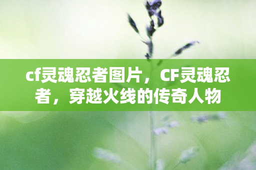 cf灵魂忍者图片,CF灵魂忍者,穿越火线的传奇人物 cf灵魂忍者图片,CF灵魂忍者,穿越火线的传奇人物