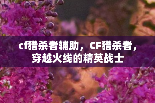 cf猎杀者辅助,CF猎杀者,穿越火线的精英战士 cf猎杀者辅助,CF猎杀者,穿越火线的精英战士