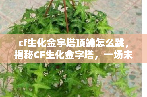 cf生化金字塔顶端怎么跳,揭秘CF生化金字塔,一场末日生存的考验与挑战 cf生化金字塔顶端怎么跳,揭秘CF生化金字塔,一场末日生存的考验与挑战