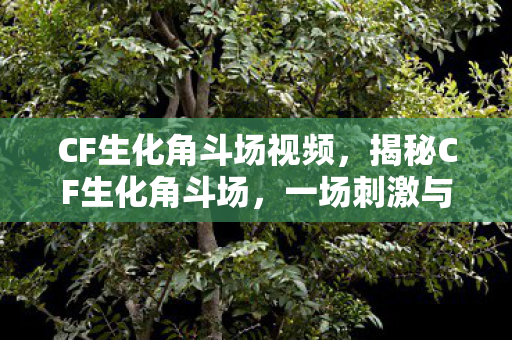 CF生化角斗场视频,揭秘CF生化角斗场,一场刺激与生存的较量 CF生化角斗场视频,揭秘CF生化角斗场,一场刺激与生存的较量