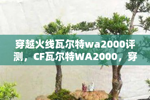 穿越火线瓦尔特wa2000评测,CF瓦尔特WA2000,穿越火线的新宠儿 穿越火线瓦尔特wa2000评测,CF瓦尔特WA2000,穿越火线的新宠儿