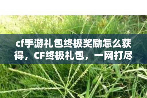 cf手游礼包终极奖励怎么获得,CF终极礼包,一网打尽所有你需要的东西 cf手游礼包终极奖励怎么获得,CF终极礼包,一网打尽所有你需要的东西