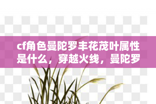 cf角色曼陀罗丰花茂叶属性是什么,穿越火线,曼陀罗角色的神秘魅力 cf角色曼陀罗丰花茂叶属性是什么,穿越火线,曼陀罗角色的神秘魅力