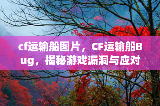 cf运输船图片,CF运输船Bug,揭秘游戏漏洞与应对策略 cf运输船图片,CF运输船Bug,揭秘游戏漏洞与应对策略