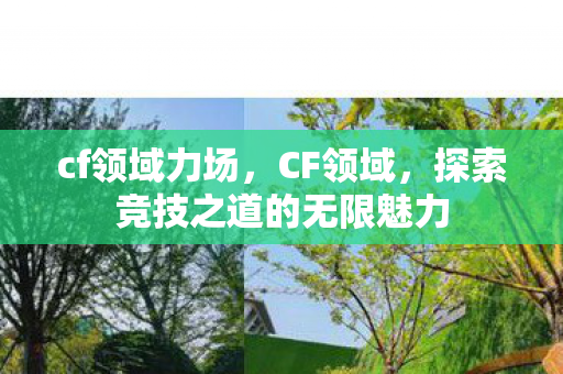 cf领域力场,CF领域,探索竞技之道的无限魅力 cf领域力场,CF领域,探索竞技之道的无限魅力