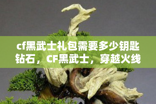 cf黑武士礼包需要多少钥匙钻石,CF黑武士,穿越火线中的神秘角色 cf黑武士礼包需要多少钥匙钻石,CF黑武士,穿越火线中的神秘角色